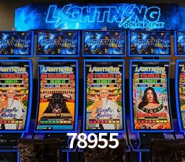 Descubra a Magia dos Jogos de Arcade no 78955